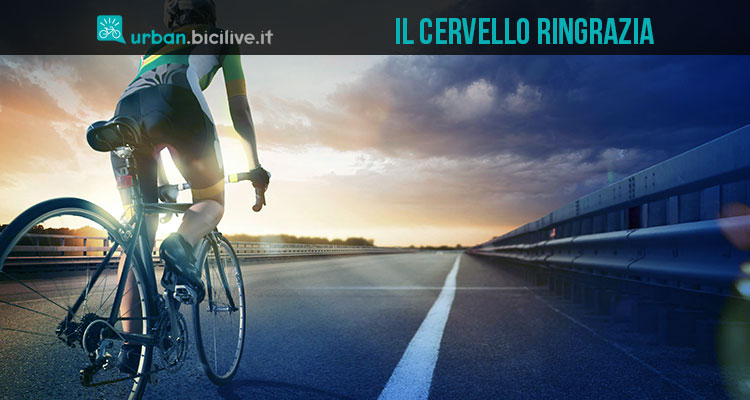 Pedalare fa bene a vista e cervello: sempre più motivi per andare in bici!