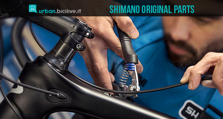 Shimano Original Parts: trova i ricambi adatti alle tue esigenze