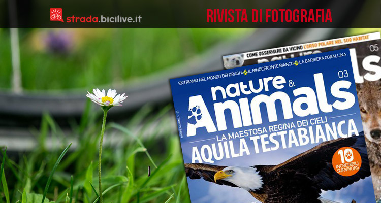 Tutti in sella a fotografare con Nature & Animals