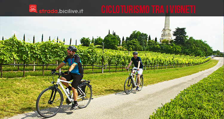 Cicloturismo nelle “Terre del Custoza” con Bike Experience