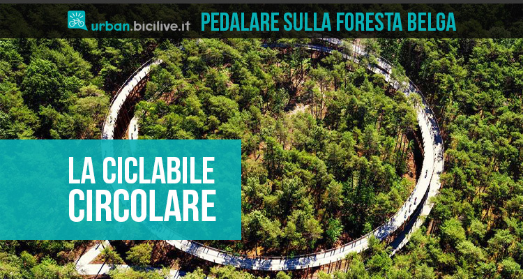 Belgio, la pista ciclabile circolare e rialzata che attraversa la foresta